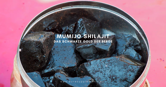 MUMIJO SHILAJIT - Das schwarze Gold der Berge