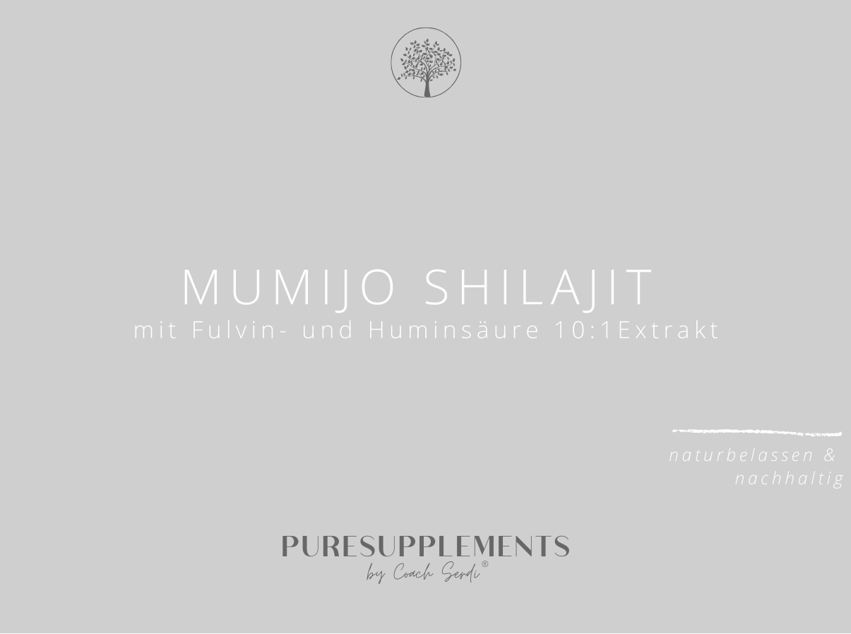 Premium Mumijo Shilajit mit Fulvin- und Huminsäure (10:1 Spezial Extrakt, 100g, Pulver)