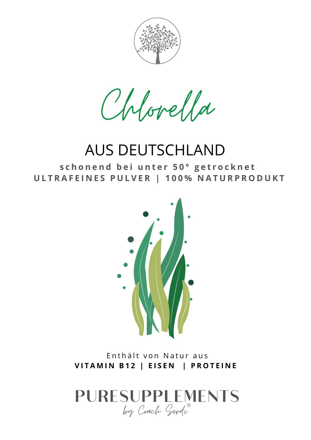Premium deutsche Chlorella Pulver 100% Rohkost (Regional, biologisch hohe Reinheit, 150g)