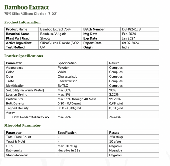 Darmkomplex aus Bio Chlorella, Bio Bambusextrakt, Bio Brennnesselblatt & Bio Akazienfaser (XL Pack, Darmkur, 75% Silizium, 240 Kapseln)