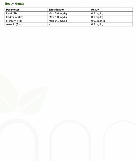 Darmkomplex aus Bio Chlorella, Bio Bambusextrakt, Bio Brennnesselblatt & Bio Akazienfaser (XL Pack, Darmkur, 75% Silizium, 240 Kapseln)