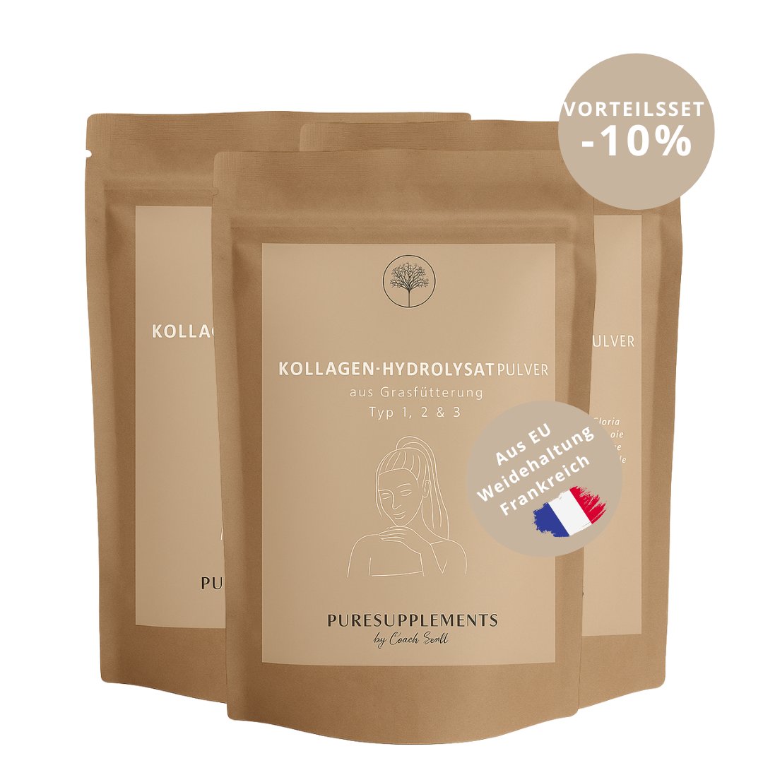 Kollagen-Hydrolysat Pulver aus Europa (mit 18 Aminosäuren + Kollagen Typ 1, 2, 3,  bioaktive Peptide, grasgefüttert, Weiderind, 500g) 3 x Vorteilspaket