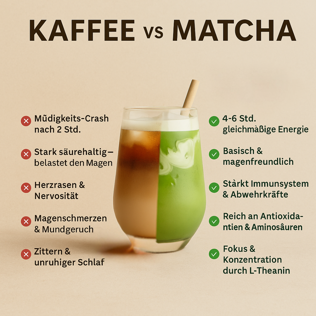 (Dez.-Febr.) Bio Premium Vintage Kagoshima Matcha - First Halving (Premium Region Japan, Ceremonial Fine Grade, sortenrein, 30g, Mironglas)