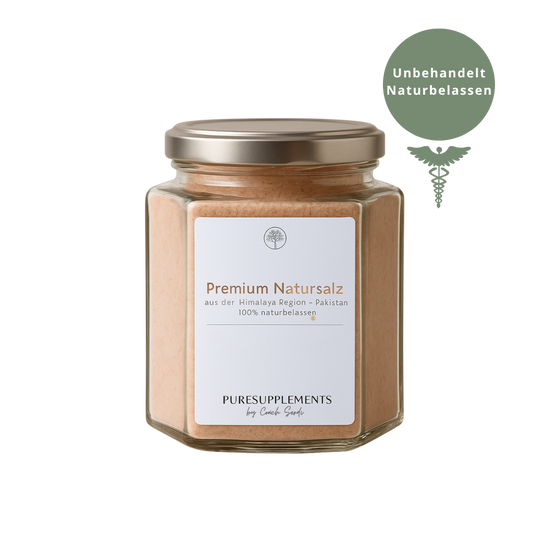 Premium Natursalz - 100% naturbelassen (Glas, Salz aus der Himalaya Region, feine Körnung, 400g, Himalaya Region)