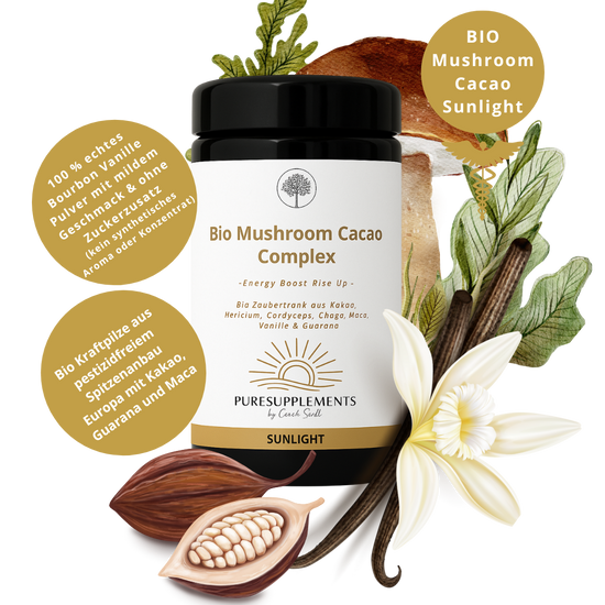 Bio Mushroom Kakao Komplex -Sunlight- (Synergetikum Energy Boost, Bio Premium Rohkostqualität, Kraftpilze Hericium, Chaga & Cordyceps  EU-Anbau, Kakao Pulver,  Maca Pulver & Guarana Pulver mit echtem Vanille Pulver, 100g, Mironglas)