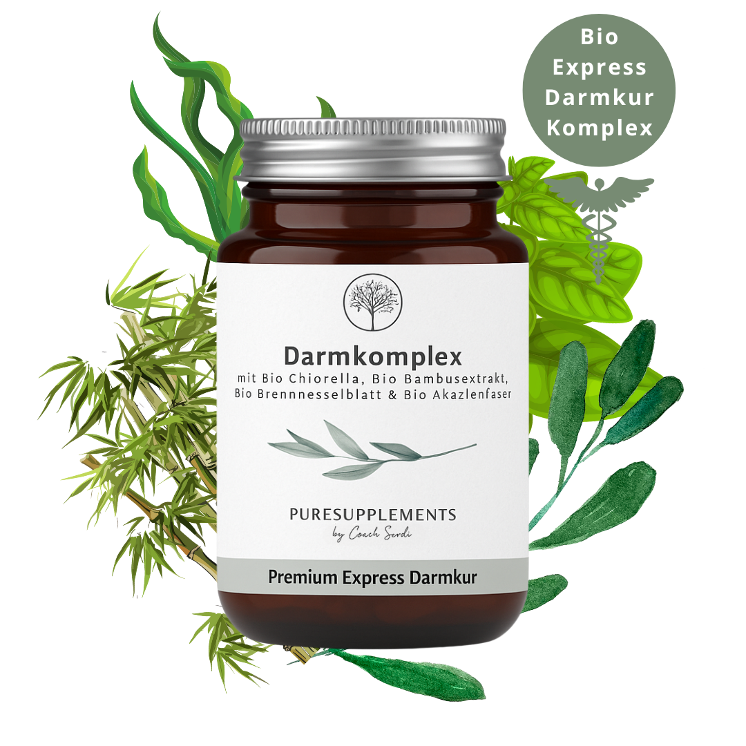 Darmkomplex aus Bio Chlorella, Bio Bambusextrakt, Bio Brennnesselblatt & Bio Akazienfaser (XL Pack, Darmkur, 75% Silizium, 240 Kapseln)