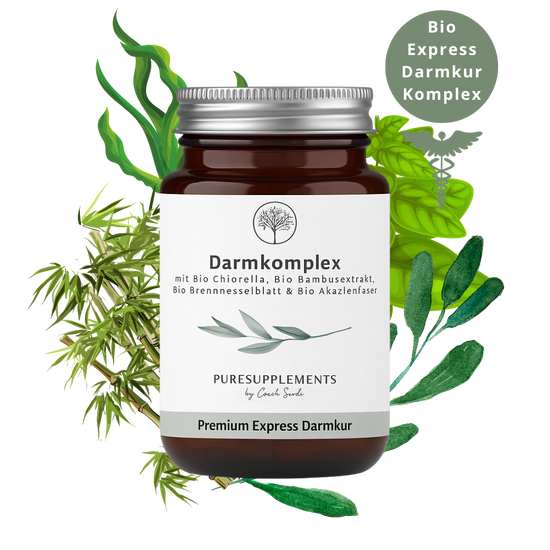 Darmkomplex aus Bio Chlorella, Bio Bambusextrakt, Bio Brennnesselblatt & Bio Akazienfaser (XL Pack, Darmkur, 75% Silizium, 240 Kapseln)