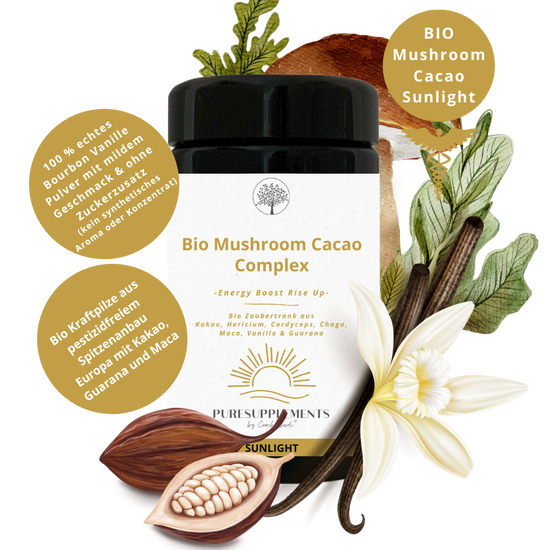 Bio Mushroom Kakao Komplex -Sunlight- (Synergetikum Energy Boost, Bio Premium Rohkostqualität, Kraftpilze Hericium, Chaga & Cordyceps  EU-Anbau, Kakao Pulver,  Maca Pulver & Guarana Pulver mit echtem Vanille Pulver, 100g, Mironglas)