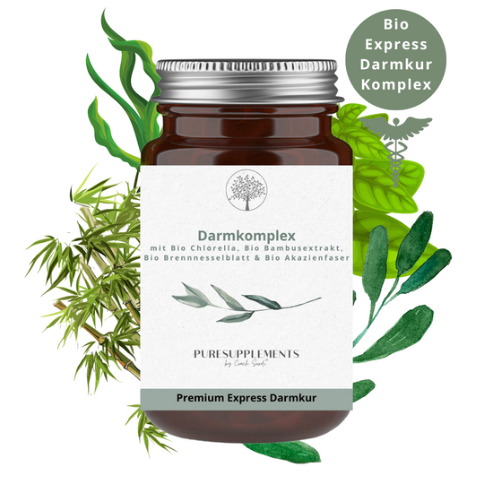 Darmkomplex aus Bio Chlorella, Bio Bambusextrakt, Bio Brennnesselblatt & Bio Akazienfaser (XL Pack, Darmkur, 75% Silizium, 240 Kapseln)